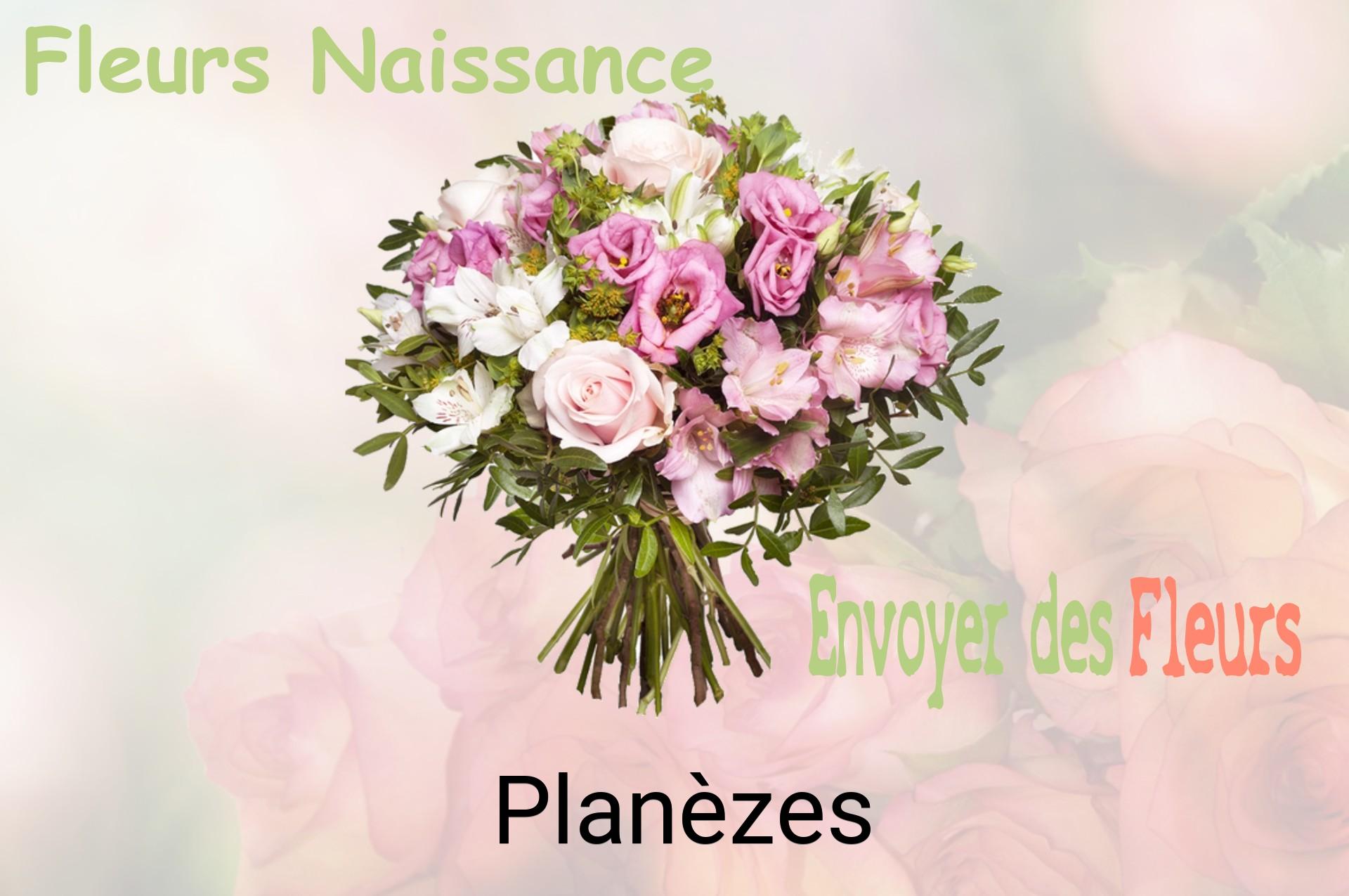 Bouquet de fleurs de naissance livré à Planèzes