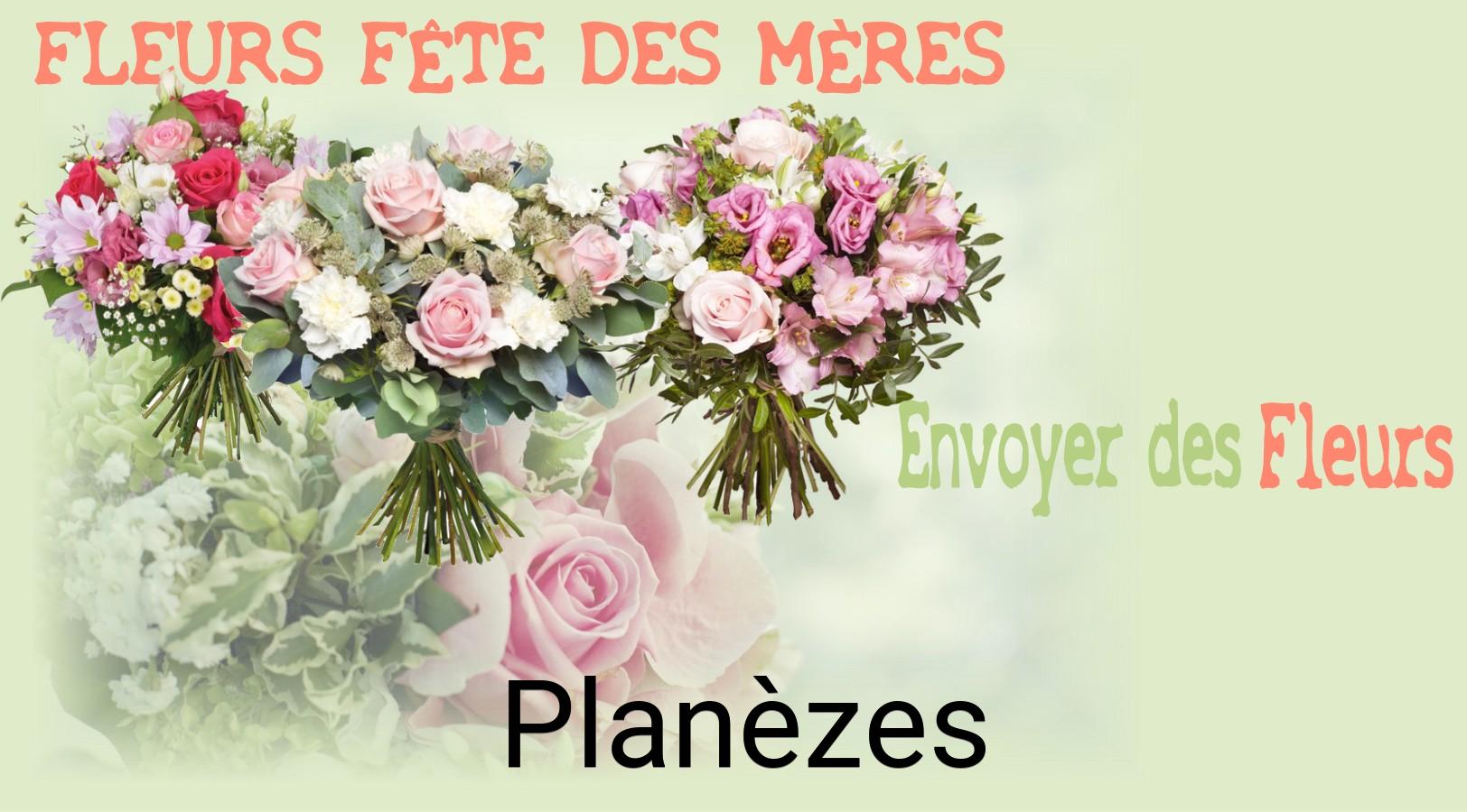 Bouquet de Fête des Mères livré à Planèzes